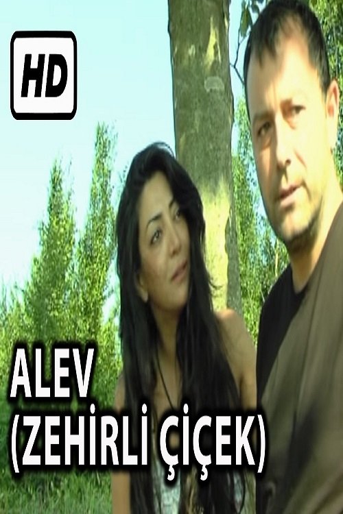 Ver Pelicula Alev Zehirli Çiçek (1995) Completa En Castellano Ver Pelicula Alev Zehirli Çiçek (1995) Completa En Castellano
