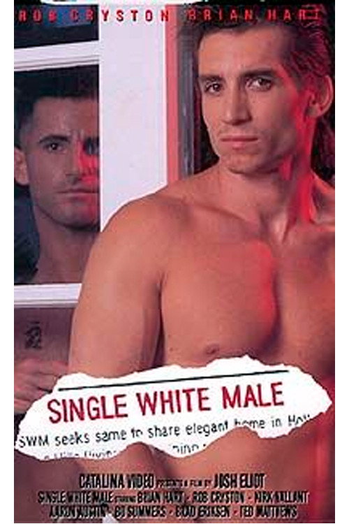 Single White Male poster 3