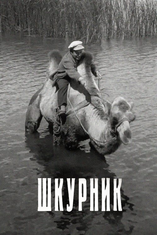 The Self-Seeker Poster