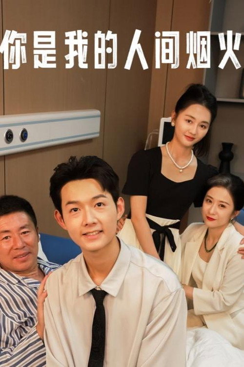 你是我的人间烟火电影海报