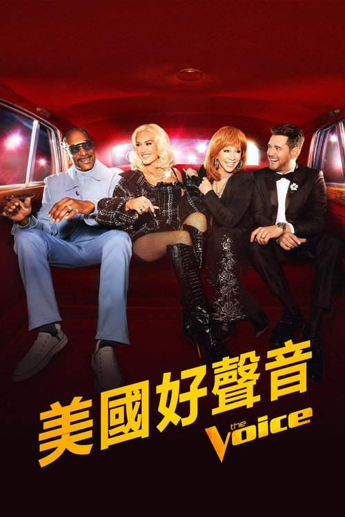 美国好声音电影海报