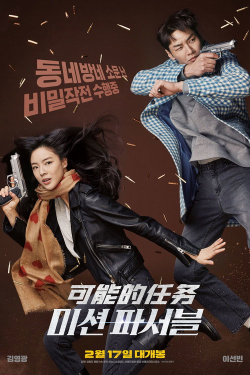 可能的任务电影海报