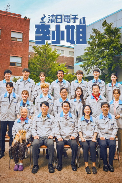 清日电子李小姐海报