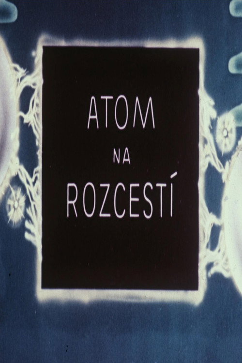 Atom na rozcestí's poster