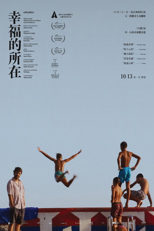 安全领域电影海报