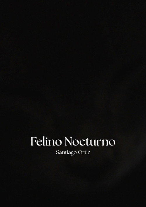 Felino Nocturno