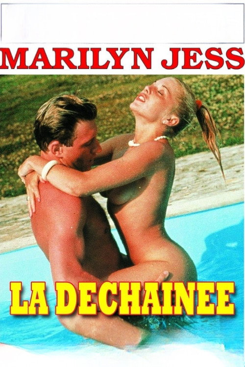 Forbidden Pleasures poster 3