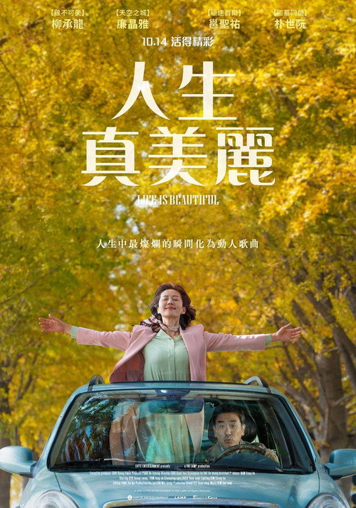 人生真美丽电影海报