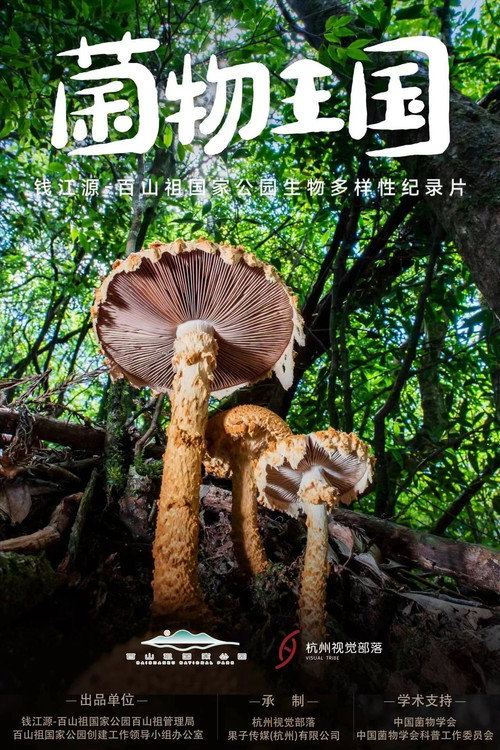 菌物王国电影海报