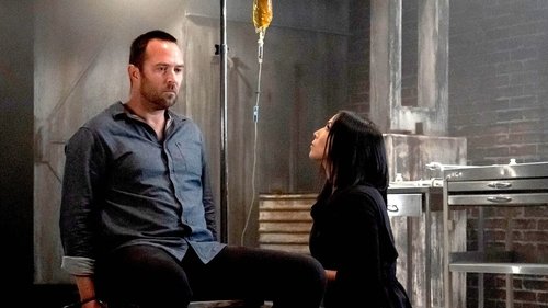 Blindspot - 5. Bölüm