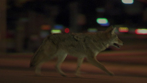 image117