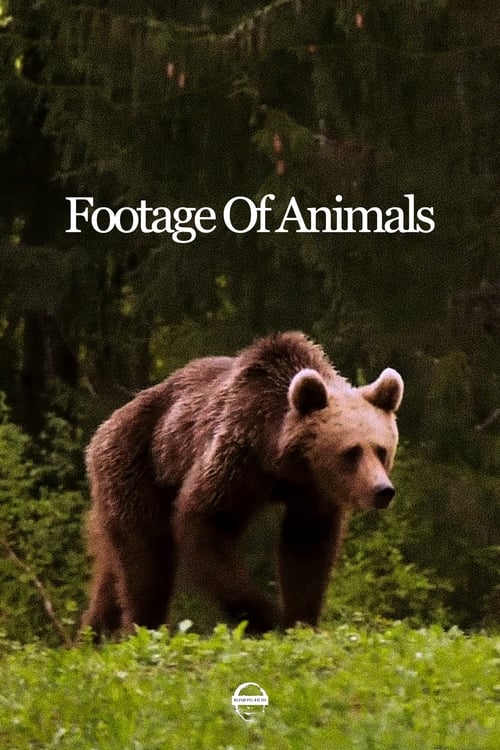 Footage Of Animals (2021) หนังเต็มออนไลน์