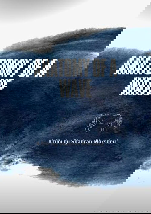 Anatomy of a Wave