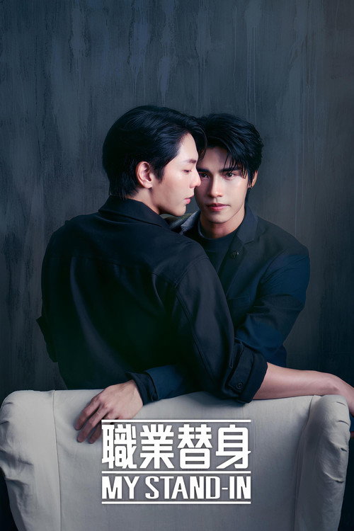 职业替身电影海报