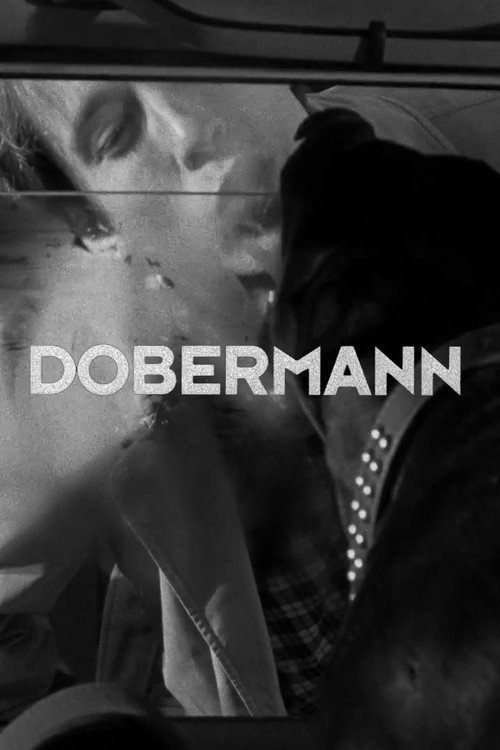Dobermann电影海报