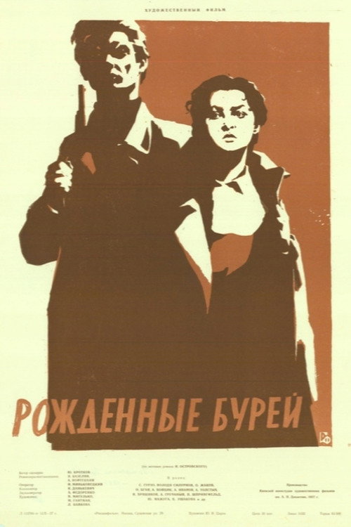 Born of the Storm poster 3