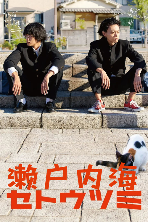 濑户内海电影海报