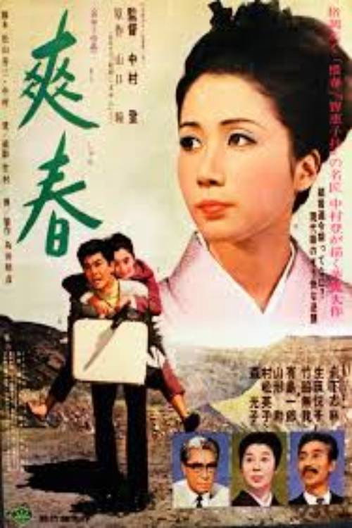 爽春电影海报