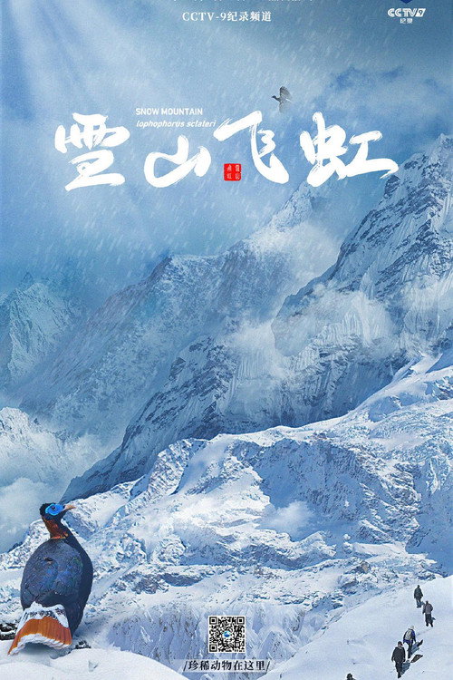 雪山飞虹电影海报