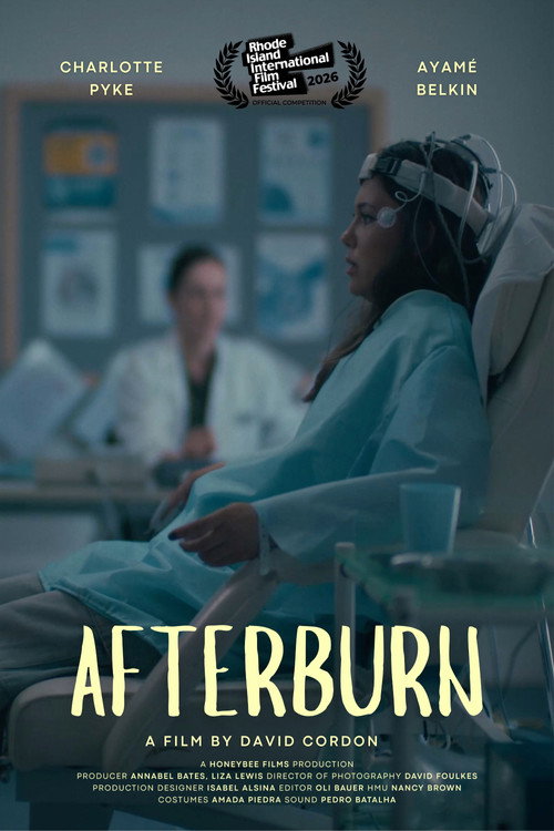 Afterburn Poster