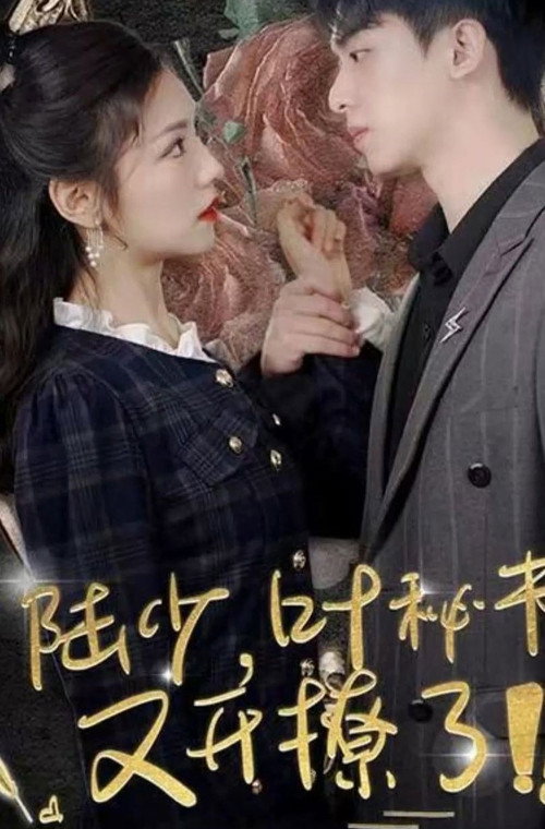 陆少叶秘书又开撩了电影海报