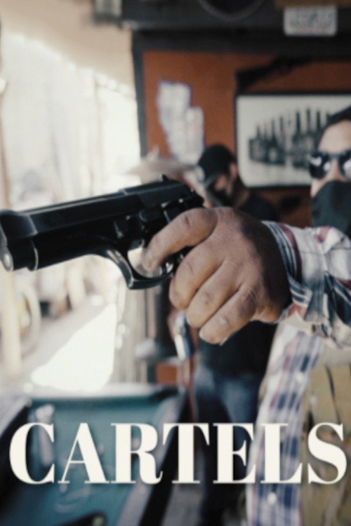 Cartels, passer la frontière poster 4