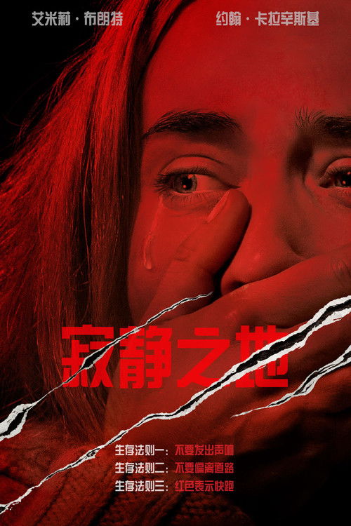 寂静之地电影海报