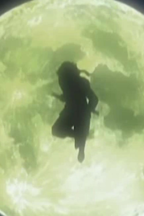 Shinshaku Sengoku Eiyuu Densetsu Sanada Juu Yuushi The Animation poster 2