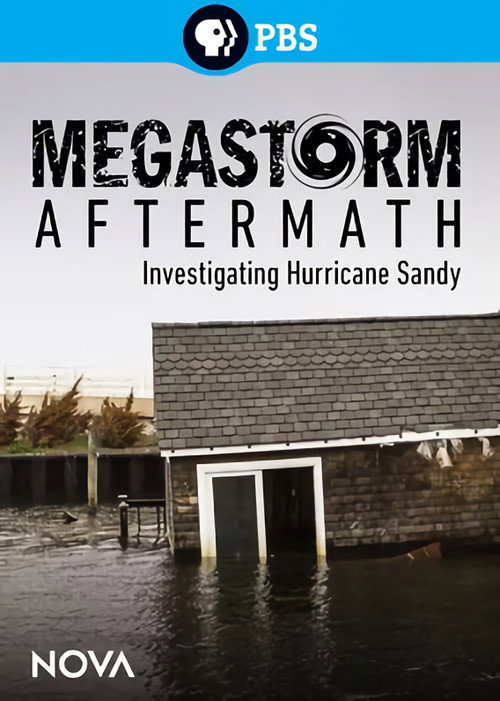 Megastorm Aftermath poster 2