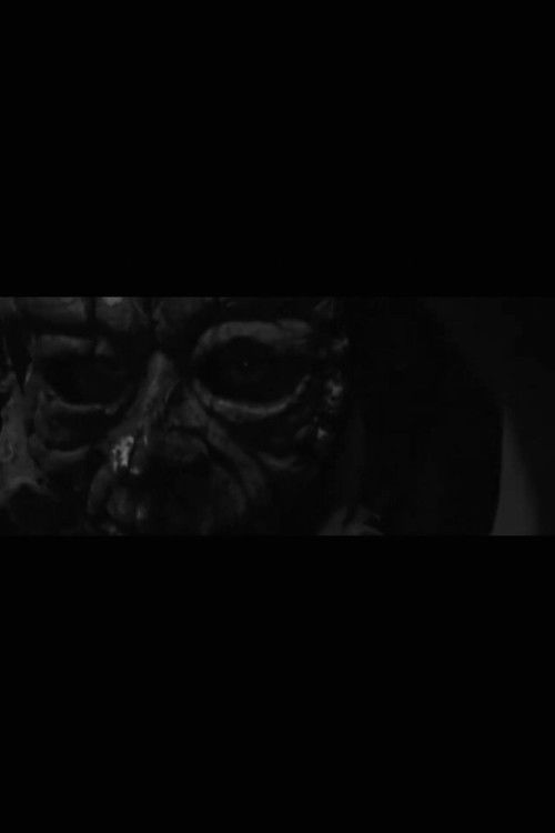 I’ve Been Accepted