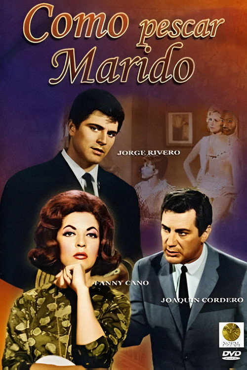 Cómo pescar marido poster 2