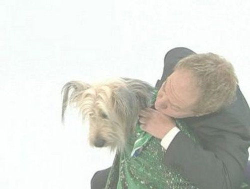 Pet Love