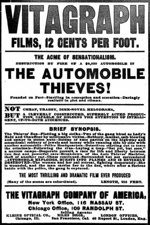 The Automobile Thieves Poster