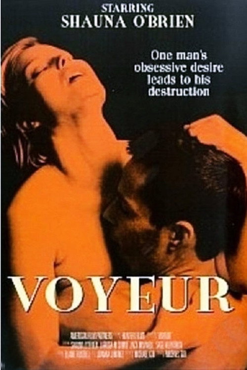 Voyeur poster 3