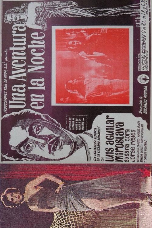 An Adventure in the Night poster 3