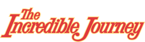 movies