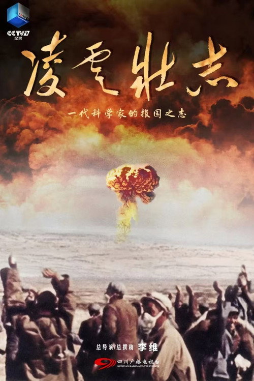 凌云壮志电影海报