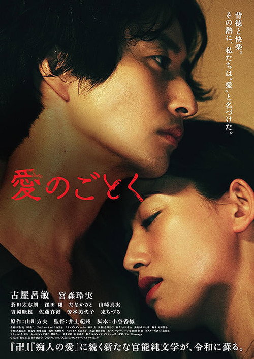 Like Love Poster