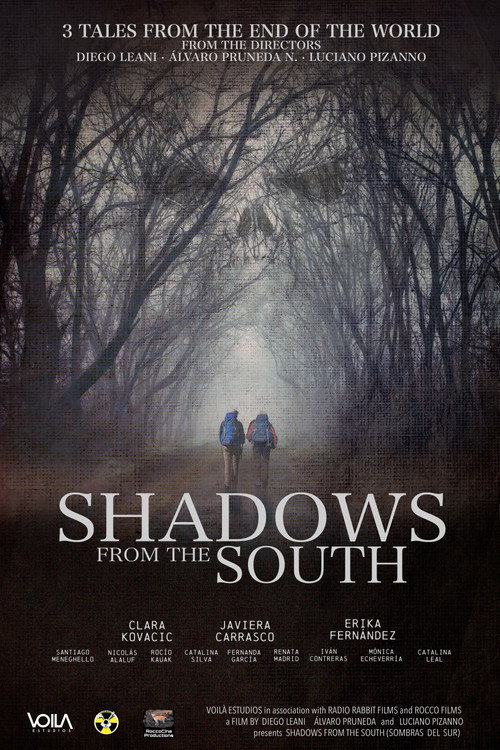 Sombras Del Sur Poster