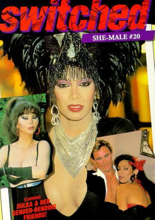 She-Male Encounters 20: Switched Poster