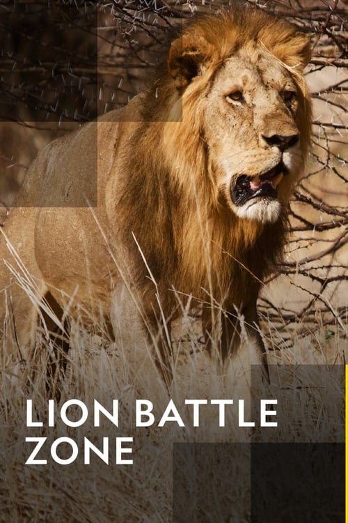 Lion+Battle+Zone