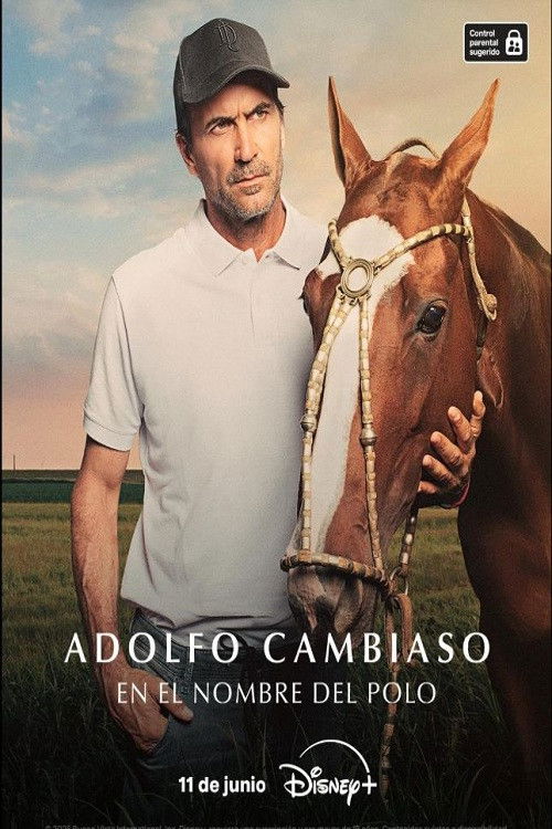 Adolfo Cambiaso, en el nombre del polo