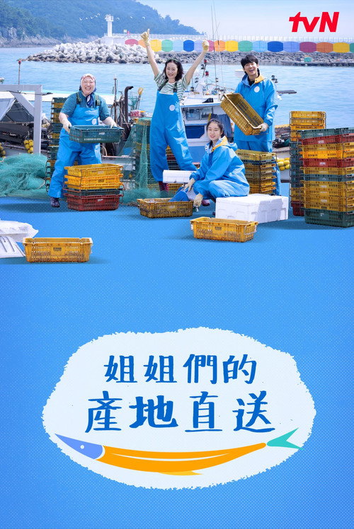 姐姐家的产地直送电影海报