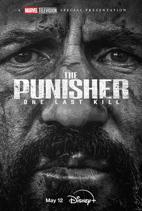 The Punisher: One Last Kill电影海报