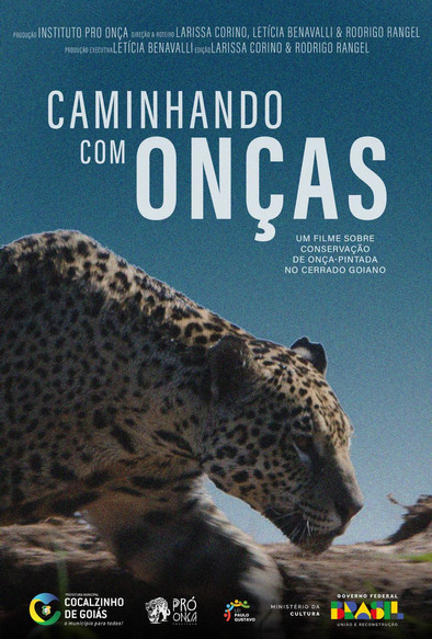 Caminhando com onças