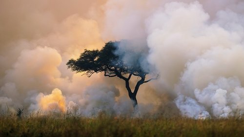 Kusursuz Gezegen - Hava