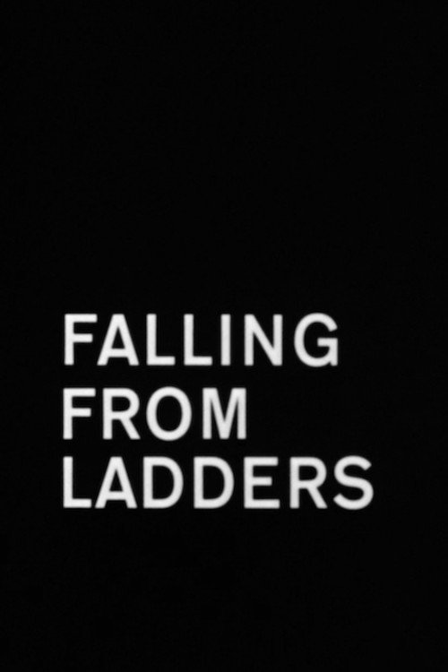 Falling from Ladders's poster
