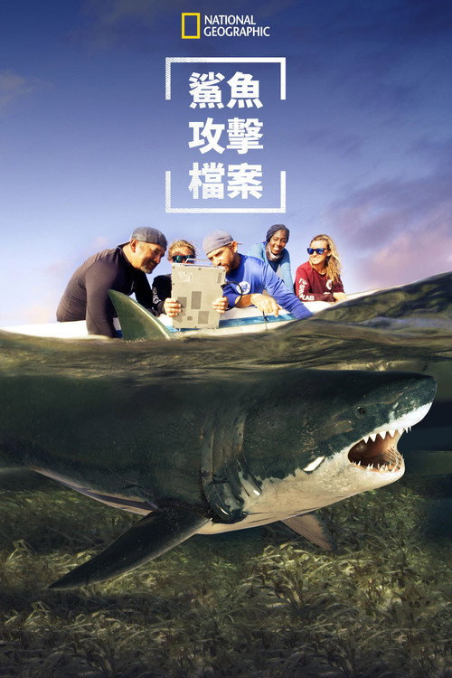 Shark Attack Files电影海报