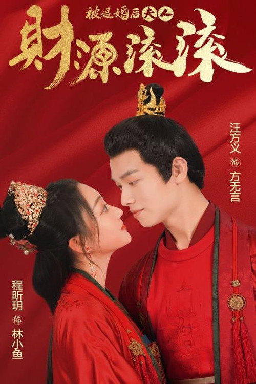 被退婚后夫人财源滚滚电影海报