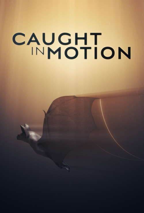 Caught in Motion